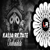 Kalia Re Tate Chahni Dele - Odia Bhajan Edm Mix - Dj Kunal